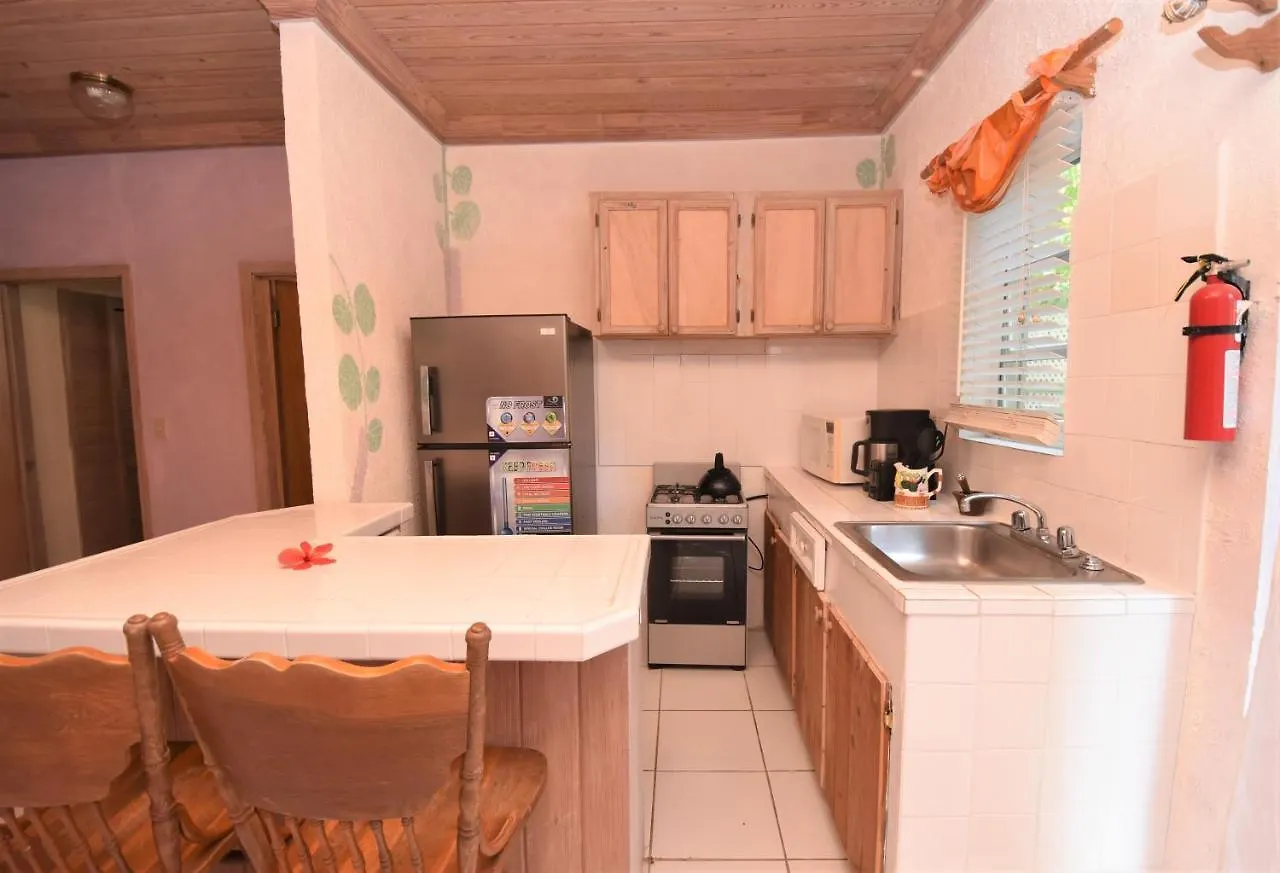 The Sugar Apple Lodging Dunmore Town